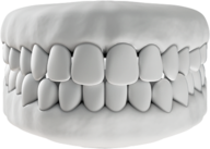 SDaligners